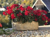 pískovcový květináč