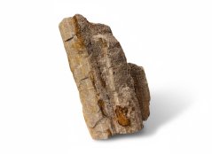 Zkamenělé dřevo (Chalcedon) 3,7kg