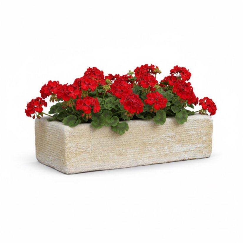 Socha, Koryto, I 18kg T