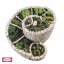Obrázek (2)