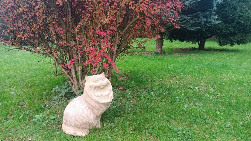 Socha, Kočka angorská 22kg T