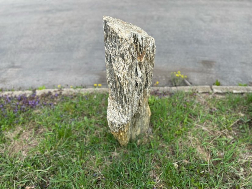 Soliterní kámen  - Rula