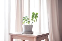 Betonový květináč s miskou VENI PURE, 11 cm