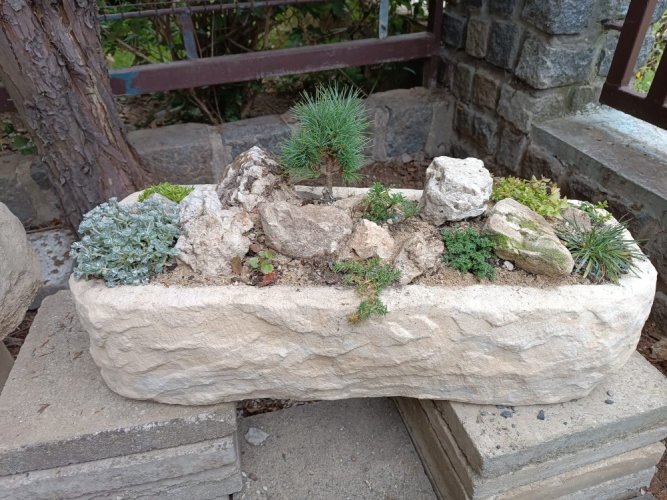 Socha, Koryto, III 33kg T