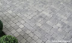Betonová dlažba pásková Riemchen Grado, 23,8 x 7,8 x 8 cm, více barev