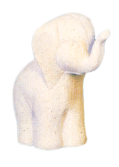 Obrázek (1)