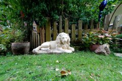 Socha, Lev ležící  -   T