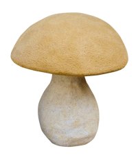 Socha, Houba velká 3,5 kg