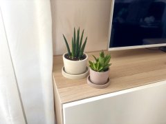 Betonový květináč s miskou VENI PURE, 8 cm