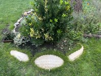 pískovcový krokodýl