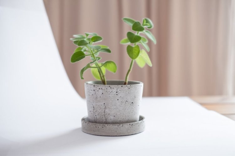 Betonový květináč s miskou VENI PURE, 11 cm