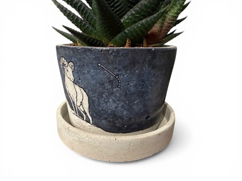 Betonový květináč s miskou  VENI PURE 11 cm - malovaný, Beran