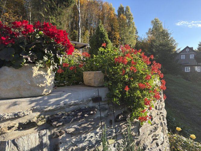 Socha, Koryto II 26kg T