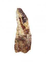 Obrázek (2)
