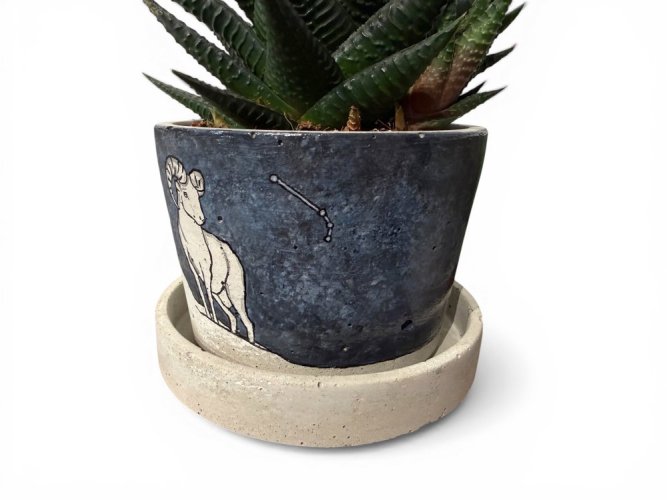 Betonový květináč s miskou  VENI PURE 11 cm - malovaný, Beran