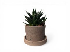Betonový květináč s miskou  VENI PURE 11 cm - hnědý