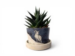 Betonový květináč s miskou  VENI PURE 11 cm - malovaný, Beran
