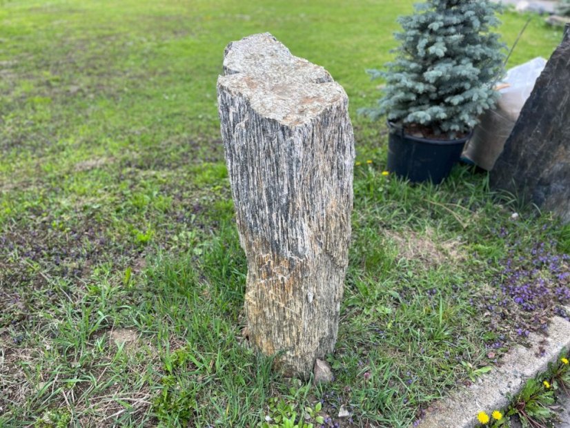 Soliterní kámen  - Rula