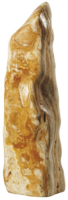 Obrázek (1)
