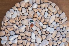 Masážní kamenná deska  - dětská, mramor Siena žlutá,  kruh průměr 27 cm