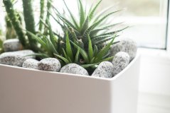 Granitový oblázek, Sůl a pepř 25-50 mm, dóza 1,5l (cca 2kg)