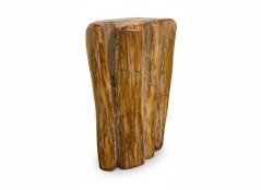 Zkamenělé dřevo (jantar) 19,70kg