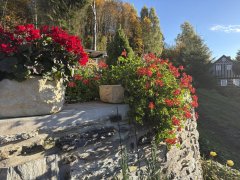 Socha, Koryto II 26kg T