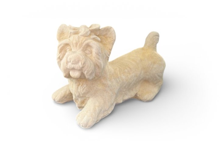 Jorkšírský terier