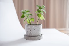 Betonový květináč s miskou VENI PURE, 11 cm