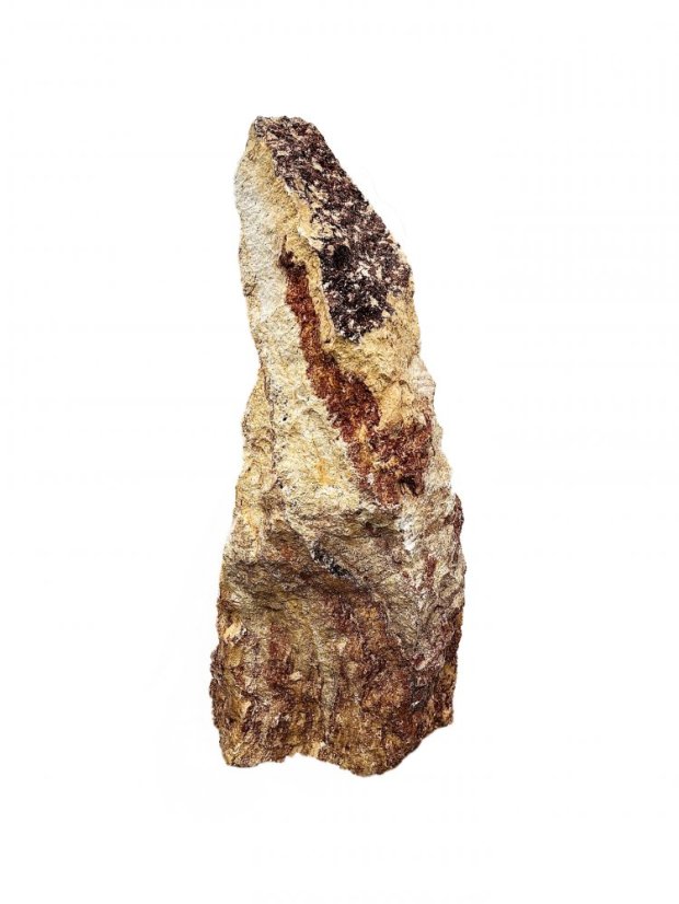 Obrázek (2)