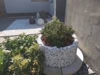 Gabionový květináč a solitérní kámen