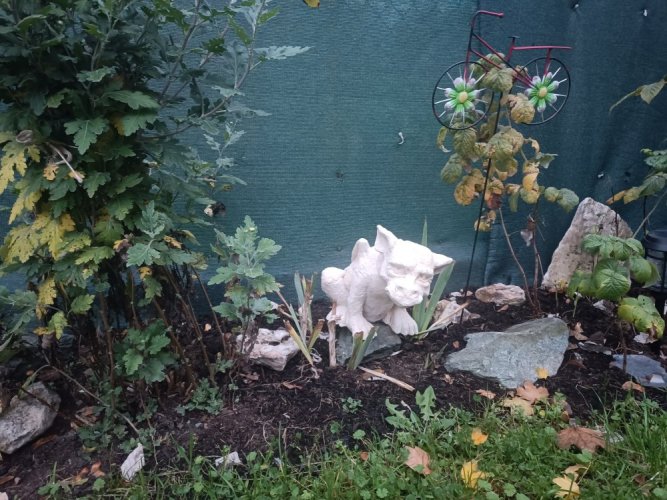 Dráček sedící 9kg