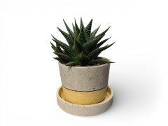 Betonový květináč s miskou VENI PURE, 11 cm, malovaný